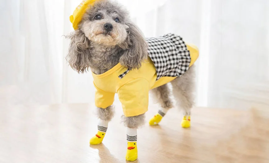 Cute Anti-Slip Socks for Small Dogs