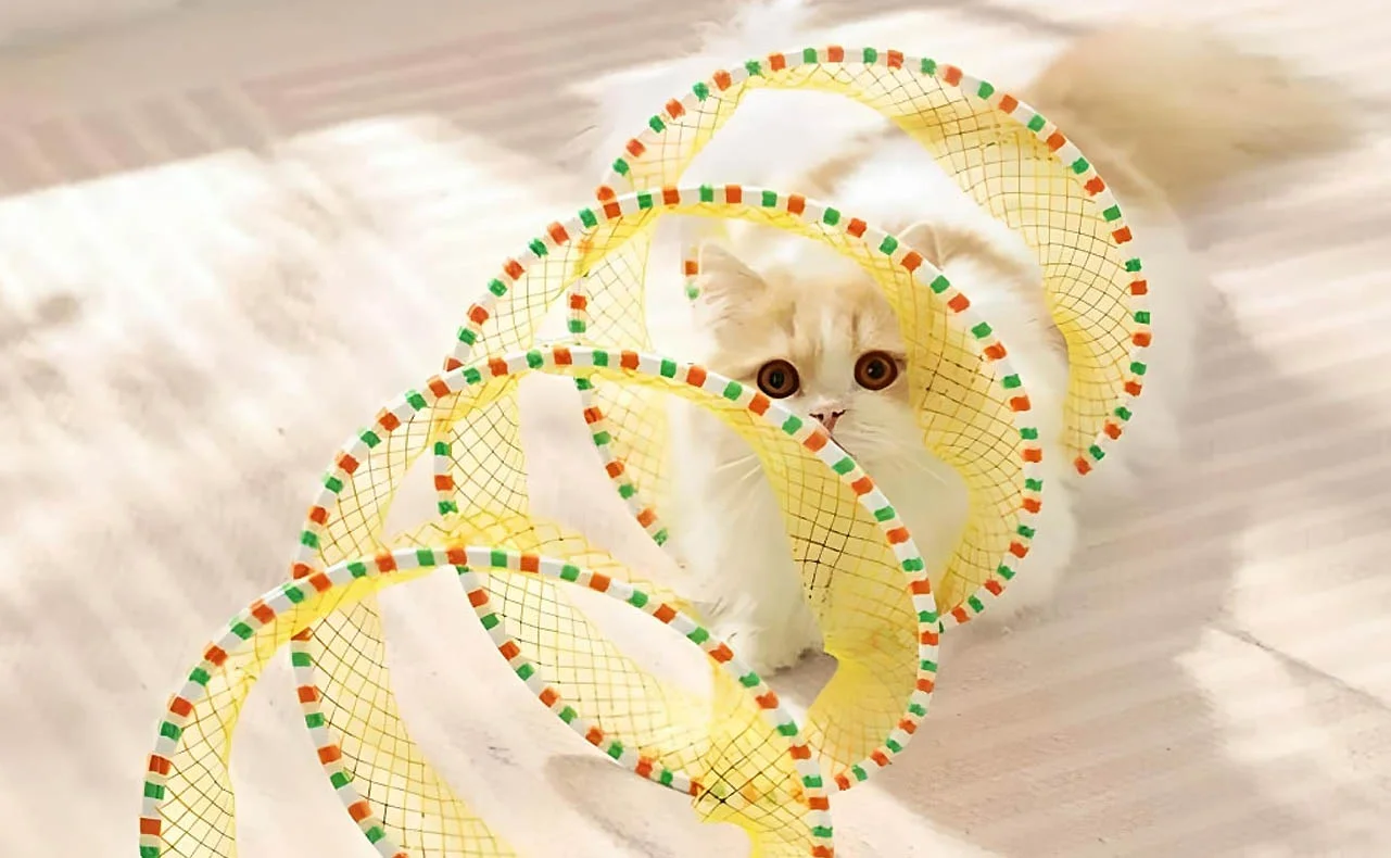 Cat Play Tunnel for Indoor Play