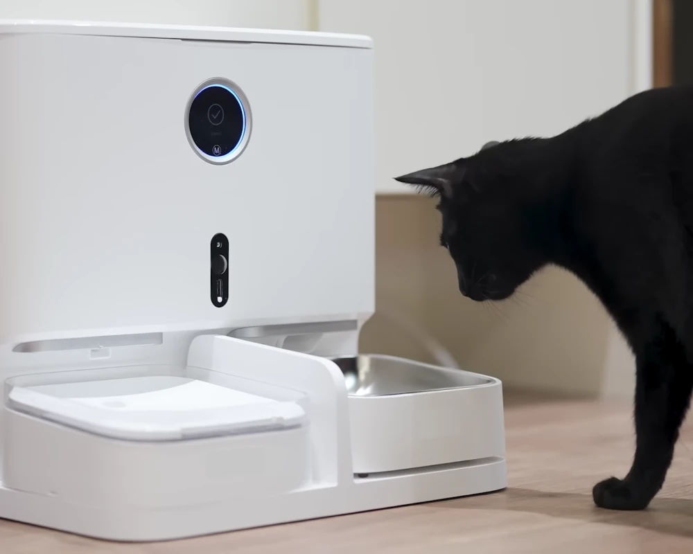 best automatic cat feeder with camera